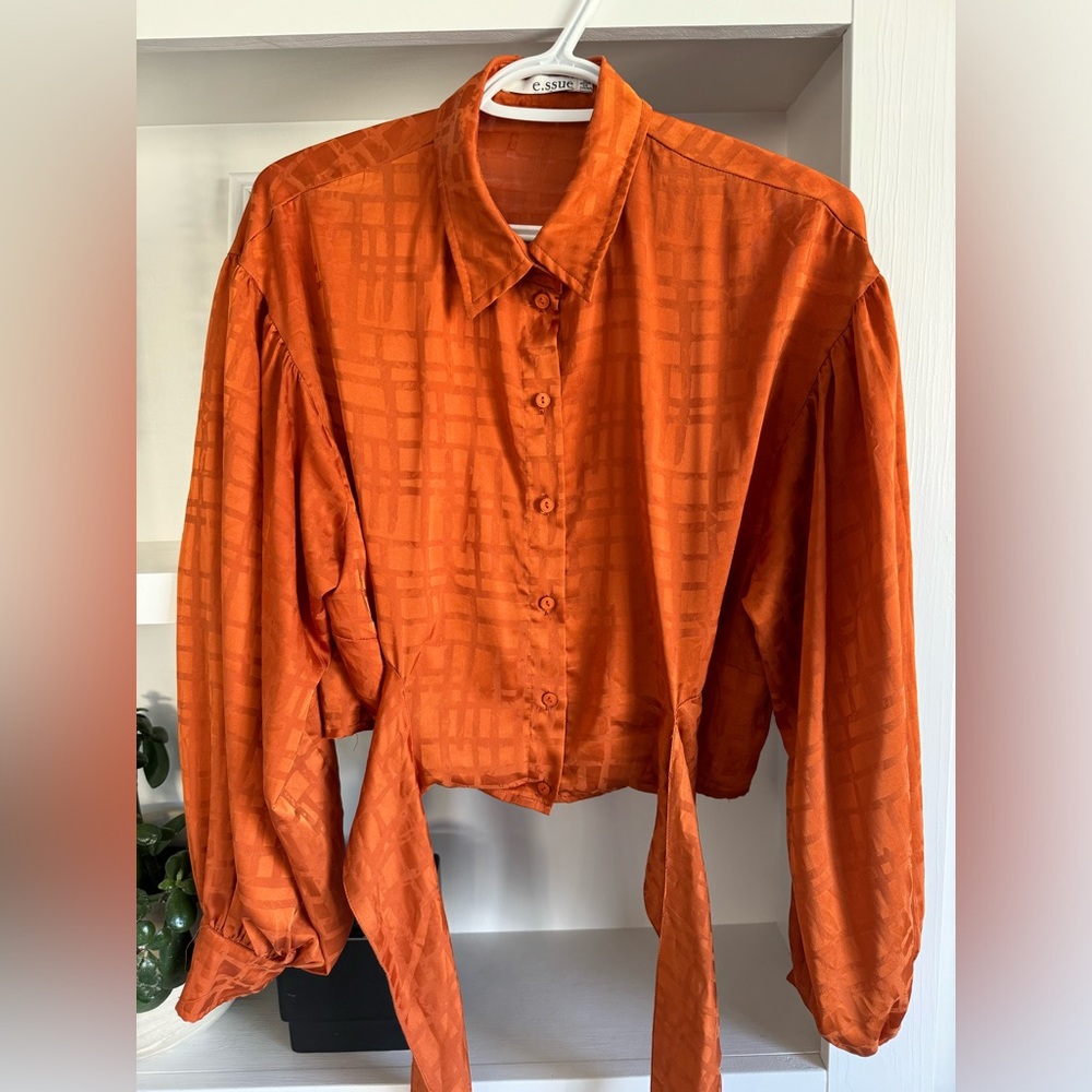 Simons Burnt Orange Crop Top Blouse - Picture 4 of 8